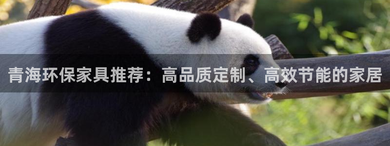 意昂5(KGAME)官方网