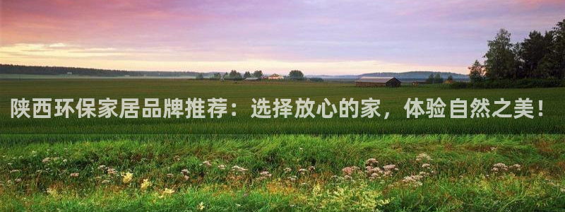 意昂5(KGAME)app怎样申请：陕西环保家居品牌推荐：选