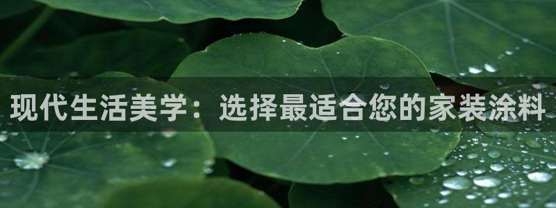 意昂5(KGAME)测速网址电脑版：现代生活美学：选择最适合