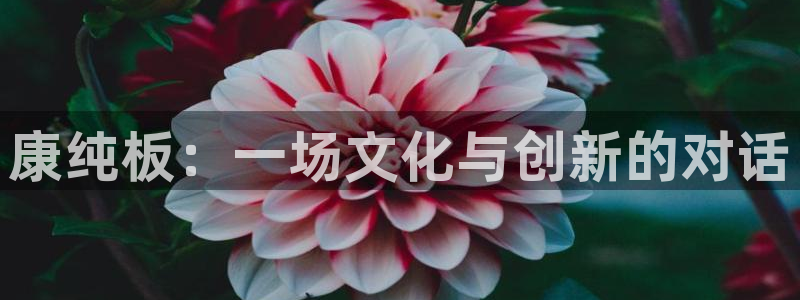 意昂5(KGAME)平台登陆测速：康纯板：一场文化与创新的对