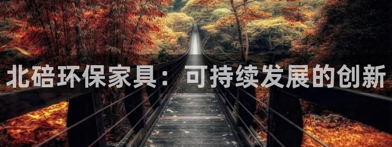 意昂5(KGAME)官方测速：北碚环保家具：可持续发展的创新