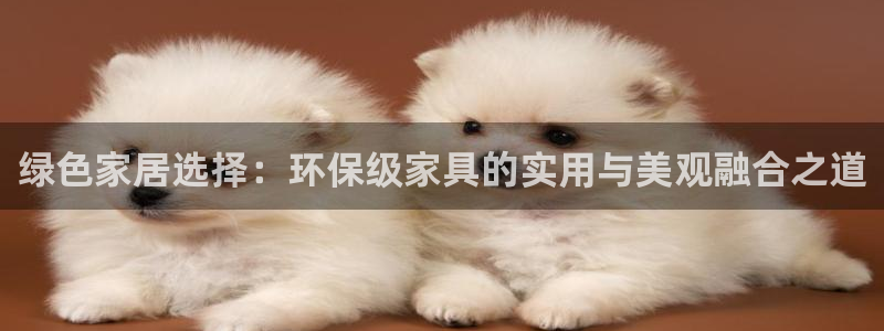 意昂5(KGAME)注册线路：绿色家居选择：环保级家具的实用