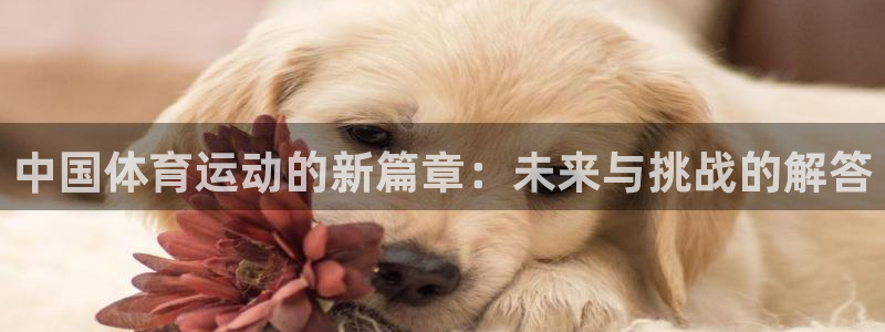 球速体育：中国体育运动的新篇章：未来与挑战的解答