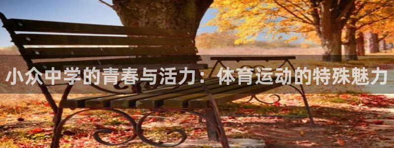 球速体育：小众中学的青春与活力：体育运动的特殊魅力