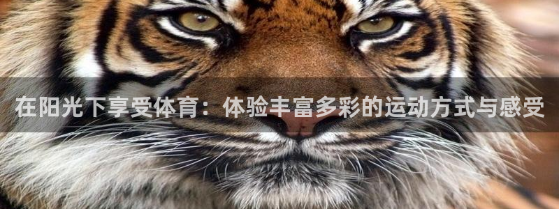 球速体育：在阳光下享受体育：体验丰富多彩的运动方式与感受