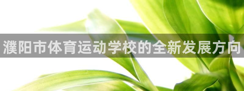 球速体育：濮阳市体育运动学校的全新发展方向