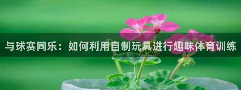 球速体育：与球赛同乐：如何利用自制玩具进行趣味体育训练
