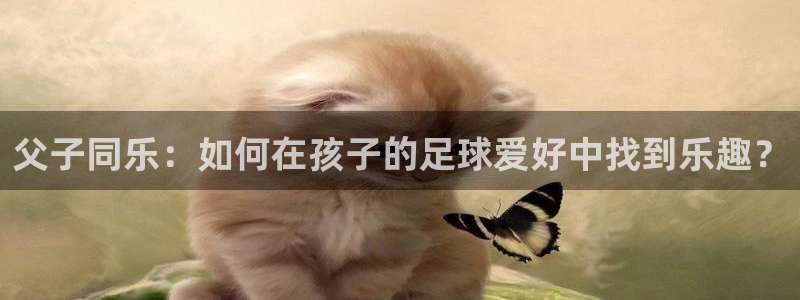 球速体育：父子同乐：如何在孩子的足球爱好中找到乐趣？