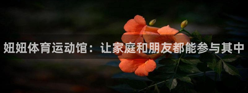 球速体育：妞妞体育运动馆：让家庭和朋友都能参与其中