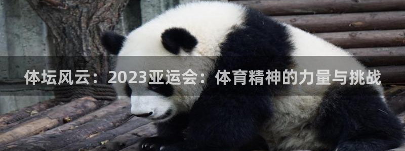球速体育：体坛风云：2023亚运会：体育精神的力量与挑战