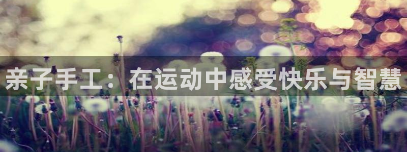 球速体育：亲子手工：在运动中感受快乐与智慧
