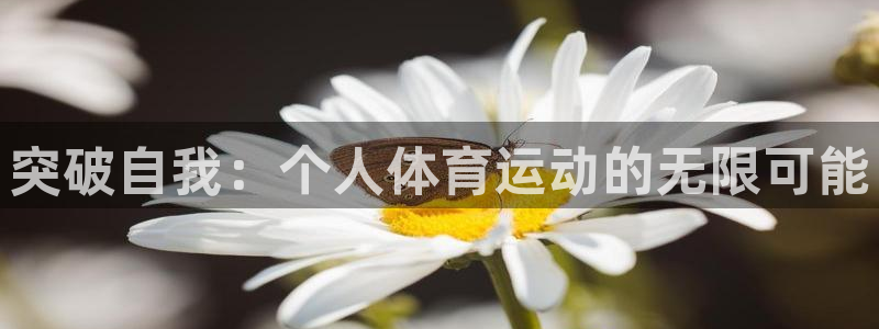 球速体育：突破自我：个人体育运动的无限可能
