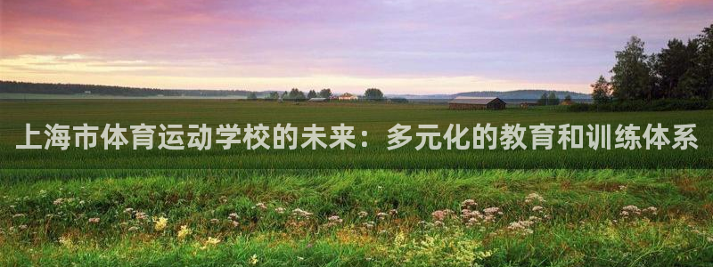球速体育：上海市体育运动学校的未来：多元化的教育和训练体系