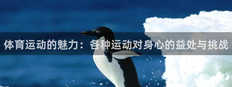 球速体育：体育运动的魅力：各种运动对身心的益处与挑战
