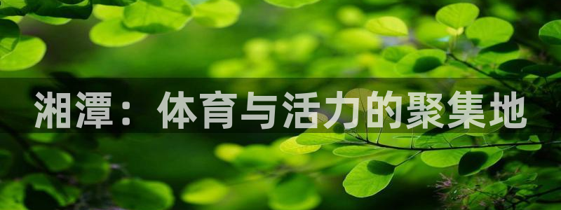 球速体育：湘潭：体育与活力的聚集地